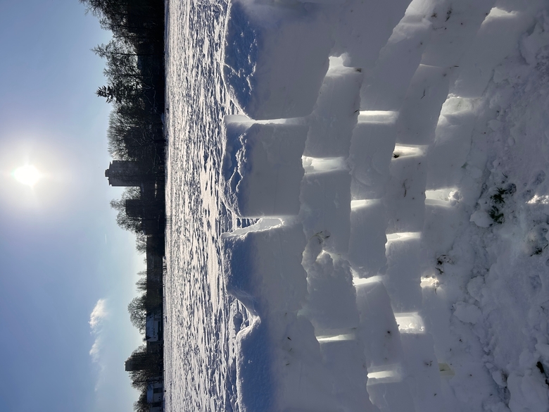 Sneeuwkunst